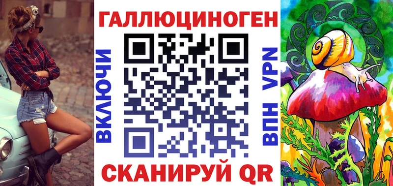 закладка Краснознаменск Псилоцибиновые грибы мицелий